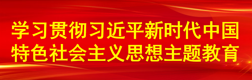 学习贯彻习近平新时代中国特色社会主义思想主题教育专题