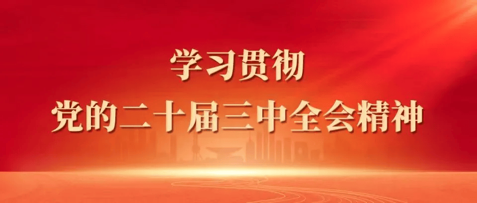 学习贯彻党的二十届三中全会精神
