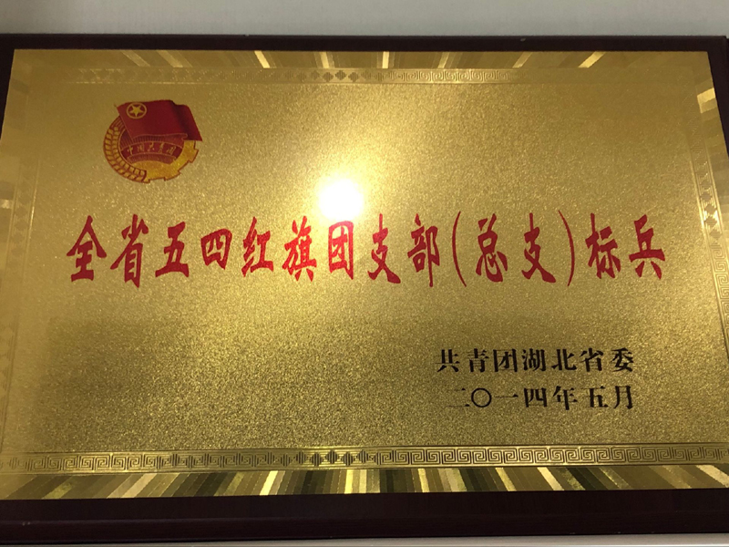 湖北省五四红旗团支部（总支）标兵