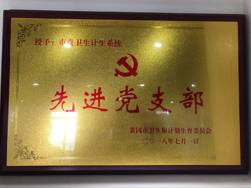 2018先进党支部