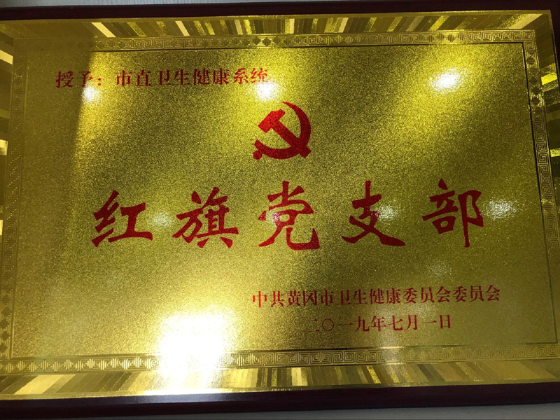 2018卫建委红旗党支部