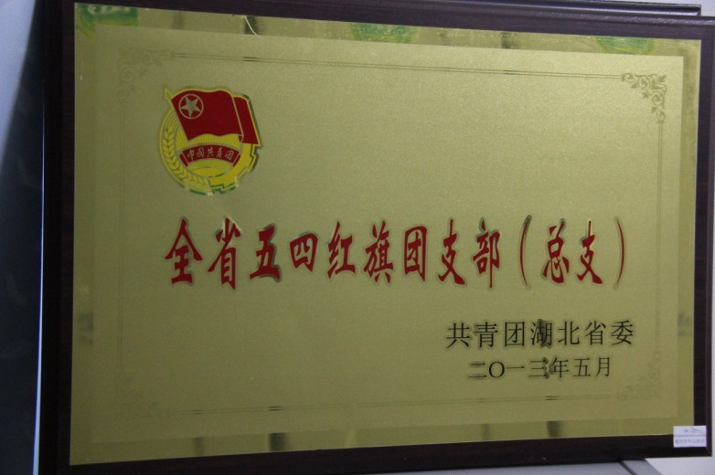 湖北省五四红旗团支部