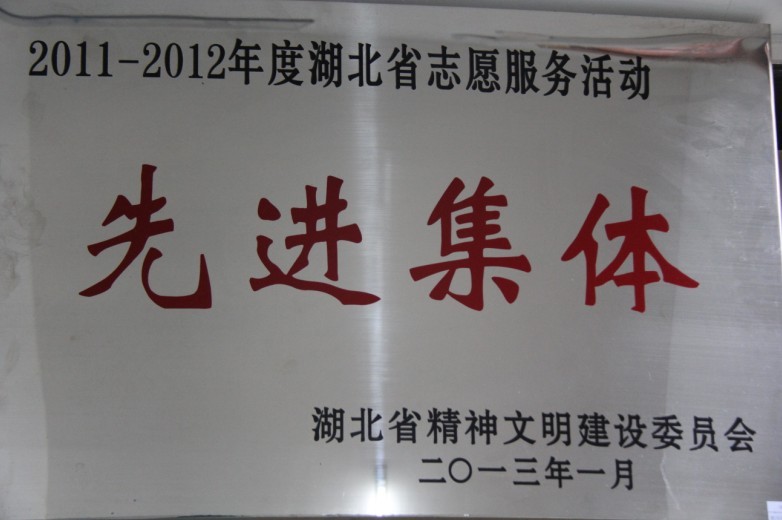 湖北省志愿服务活动先进集体