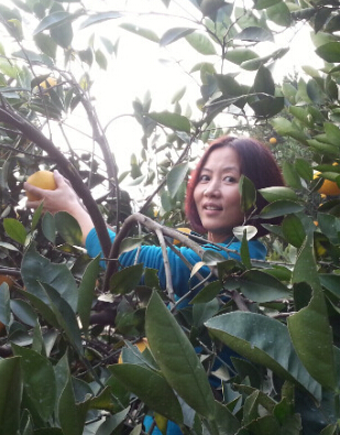 叶凤霞[国家无偿献血奉献金奖]